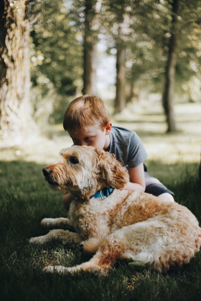 Im Vordergrund ein Hund, im Hintergrund ein Kind.